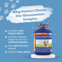 Blue promotional image with Turmeric and Glucosamine Complex bottle and a dog alongside a list of joint benefits.