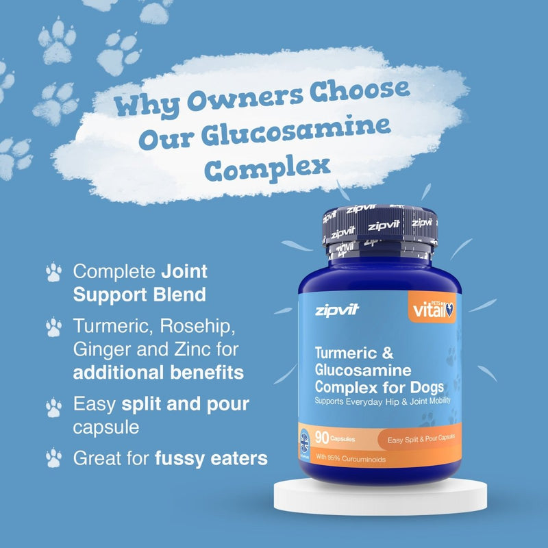 A blue and white product graphic for zipvit Turmeric & Glucosamine Complex for Dogs, featuring a bottle on a white pedestal against a blue background with paw prints and marketing text.