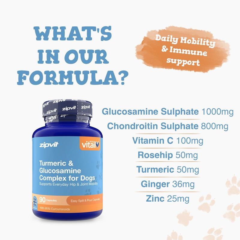 A bottle of zipvit Turmeric & Glucosamine Complex for Dogs is shown on a light background with promotional text detailing the ingredients.