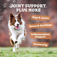 Dog running on grass with joint support product text overlay