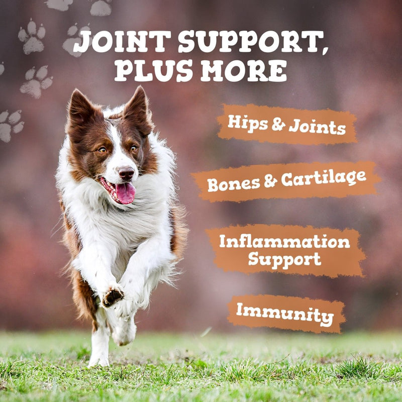 Dog running on grass with joint support product text overlay