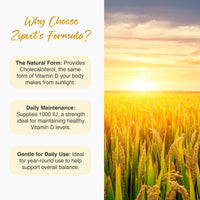 Marketing panel for Vitamin D3 with three pale rounded cards The Natural Form Daily Maintenance and Gentle for Daily Use on the left and a sunlit wheat field on the right.